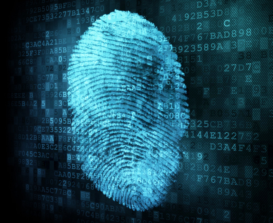 IT Digital Forensics Investigative Environment Toolkit (CAINE) Bootable Live USB