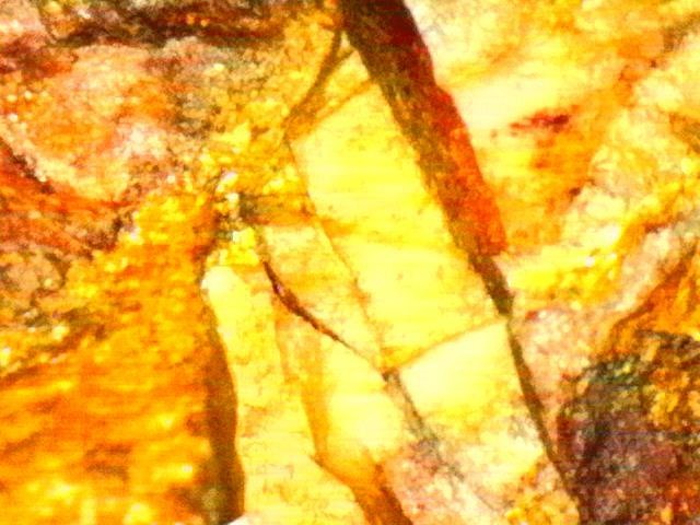 Gold Ore Specimen /Quality Visible Gold