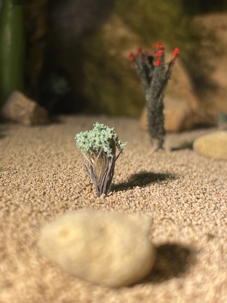 ho scale sage brush bushes (read)