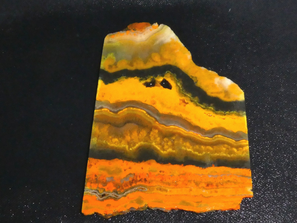 Bumblebee Jasper( slab 5" x 3 3/8"-- rough-cabbing--display