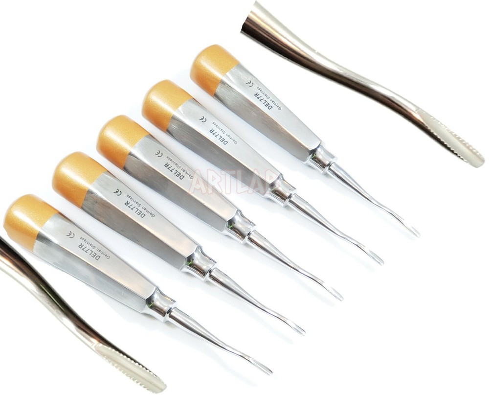5 EA German Premium Root Dental Tooth Extracting Elevator # 77R-Dental Elevators