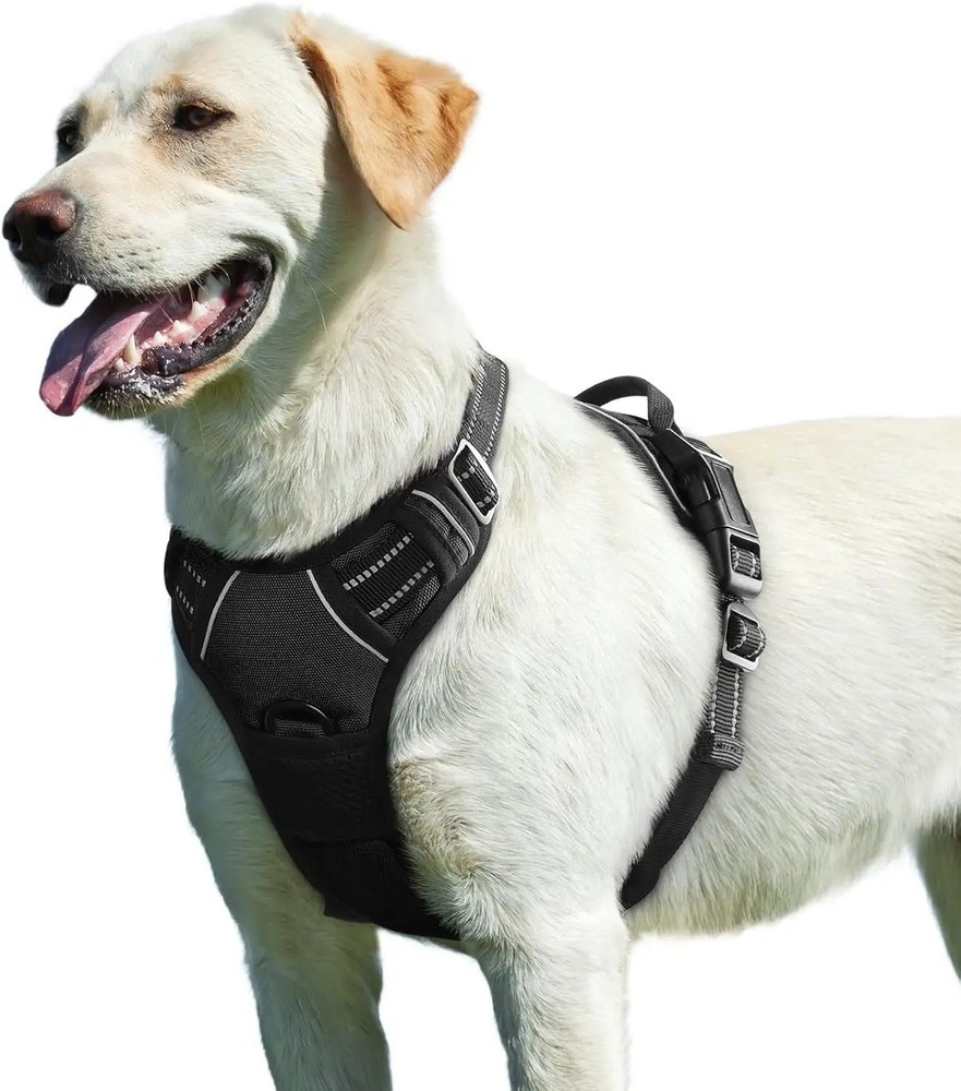 No Pull Dog Harness & Leash  Adjustable, Reflective, Soft Padded Comfort
