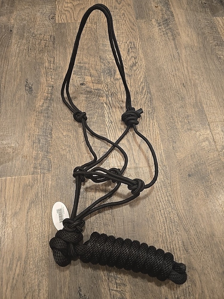 horse halter and lead rope