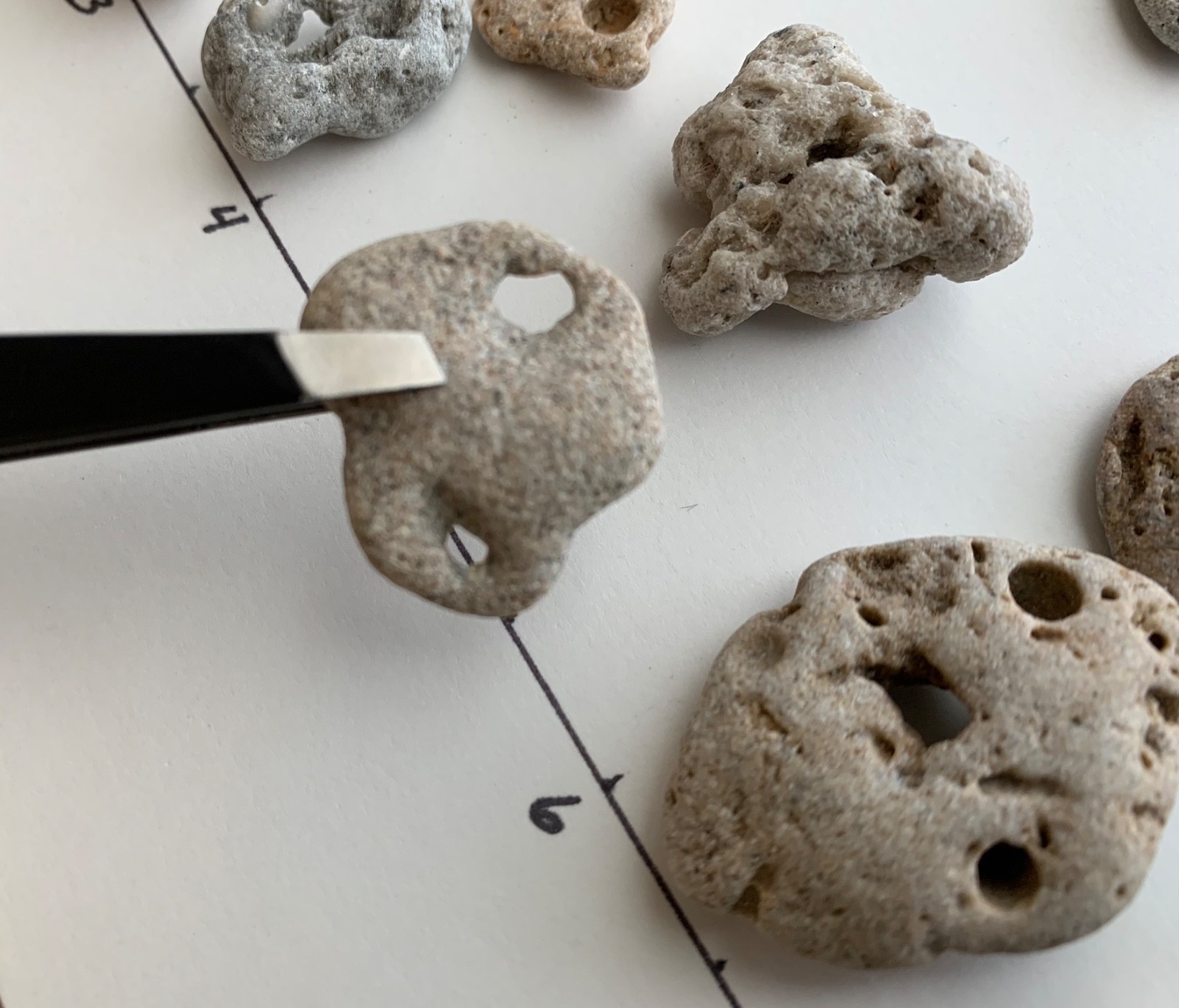 35 Adder Holey Beach Rocks Hag Stones Fairy Lucky Wish Magic Natural 1" #B1 US❤️