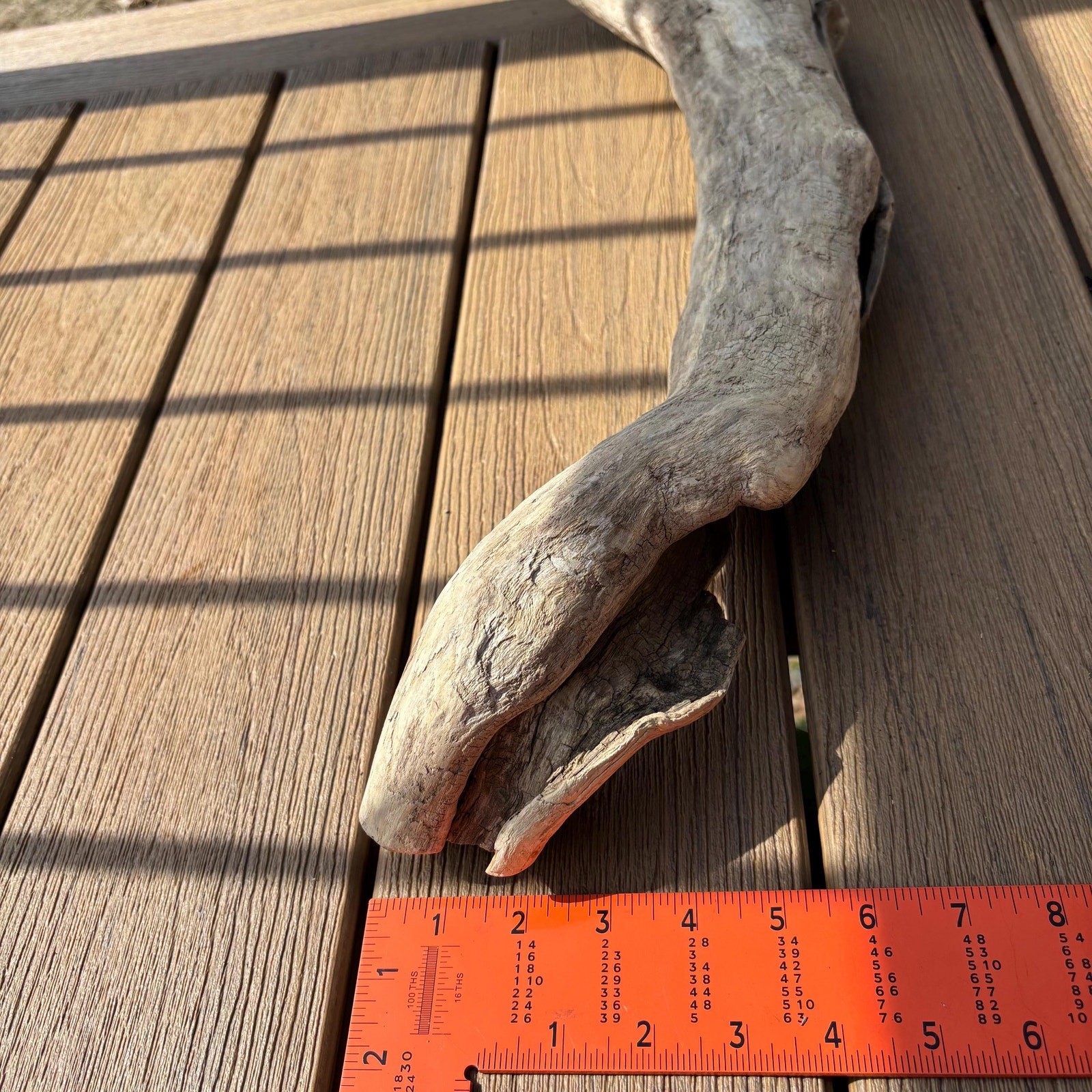 Lightweight Hollow Driftwood 22x4x8 – Sculptural Wood Natural Holes Aquarium