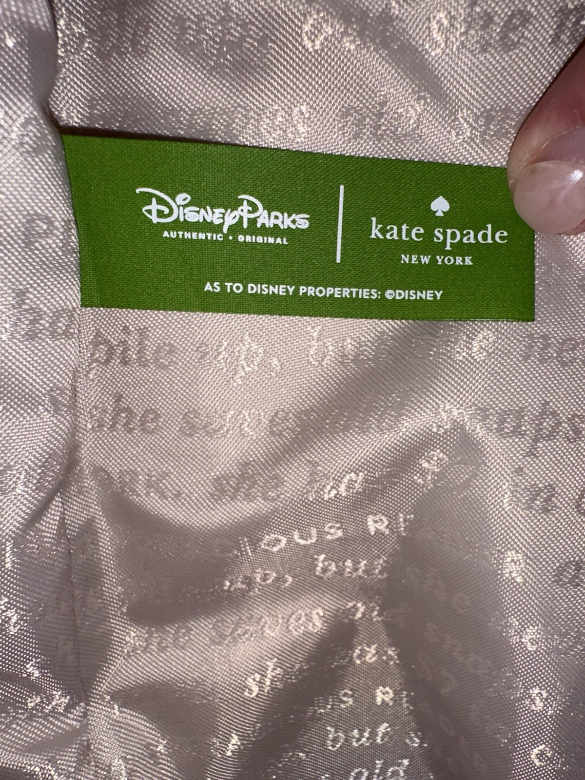 RARE Kate Spade Disney Parks "Imagination Has No Age" Canvas Tote + Clutch NWOT