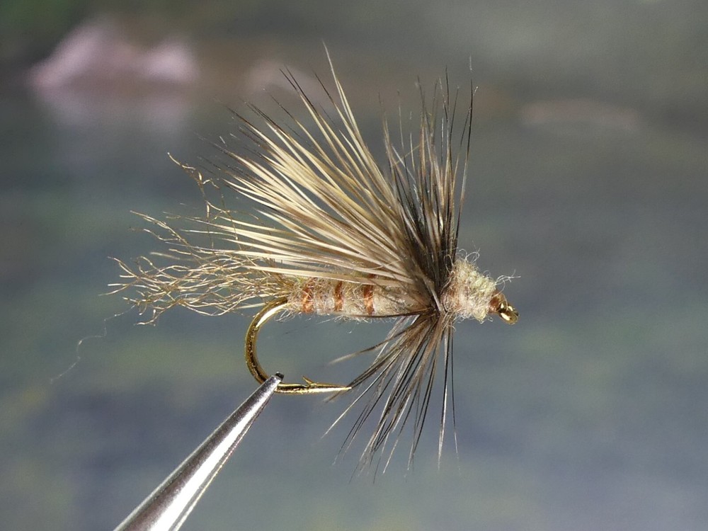 6 Flies - Hydropsyche Spotted Sedge Soft-Hackled Dry Fly