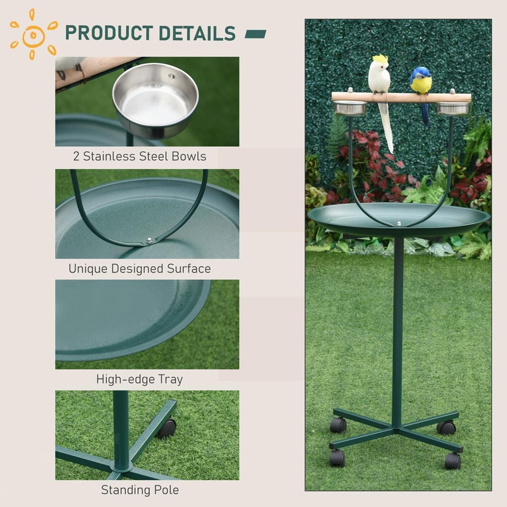 Bird Training Activity Playground with