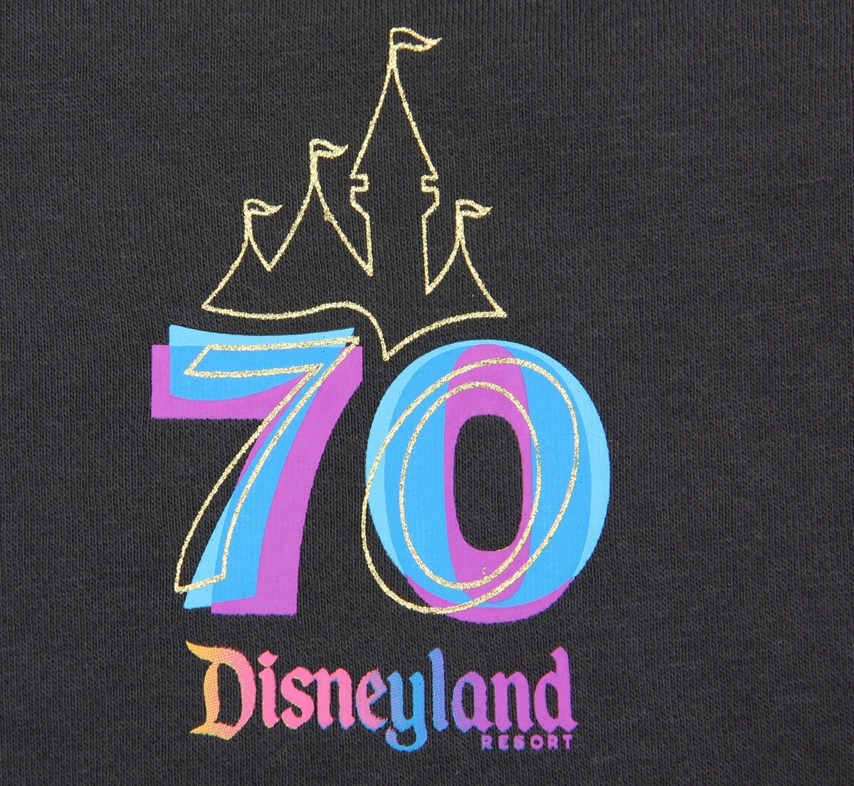 Disney Parks Disneyland 70th Anniversary Black Zip-Up Hoodie Size M