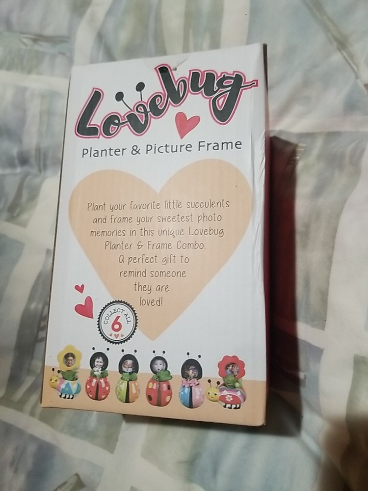 Love Bug Succulents Planter Red Heart