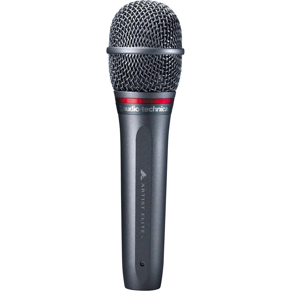Audio-Technica Pro: AE6100 Hypercardioid Dynamic Handheld Microphone