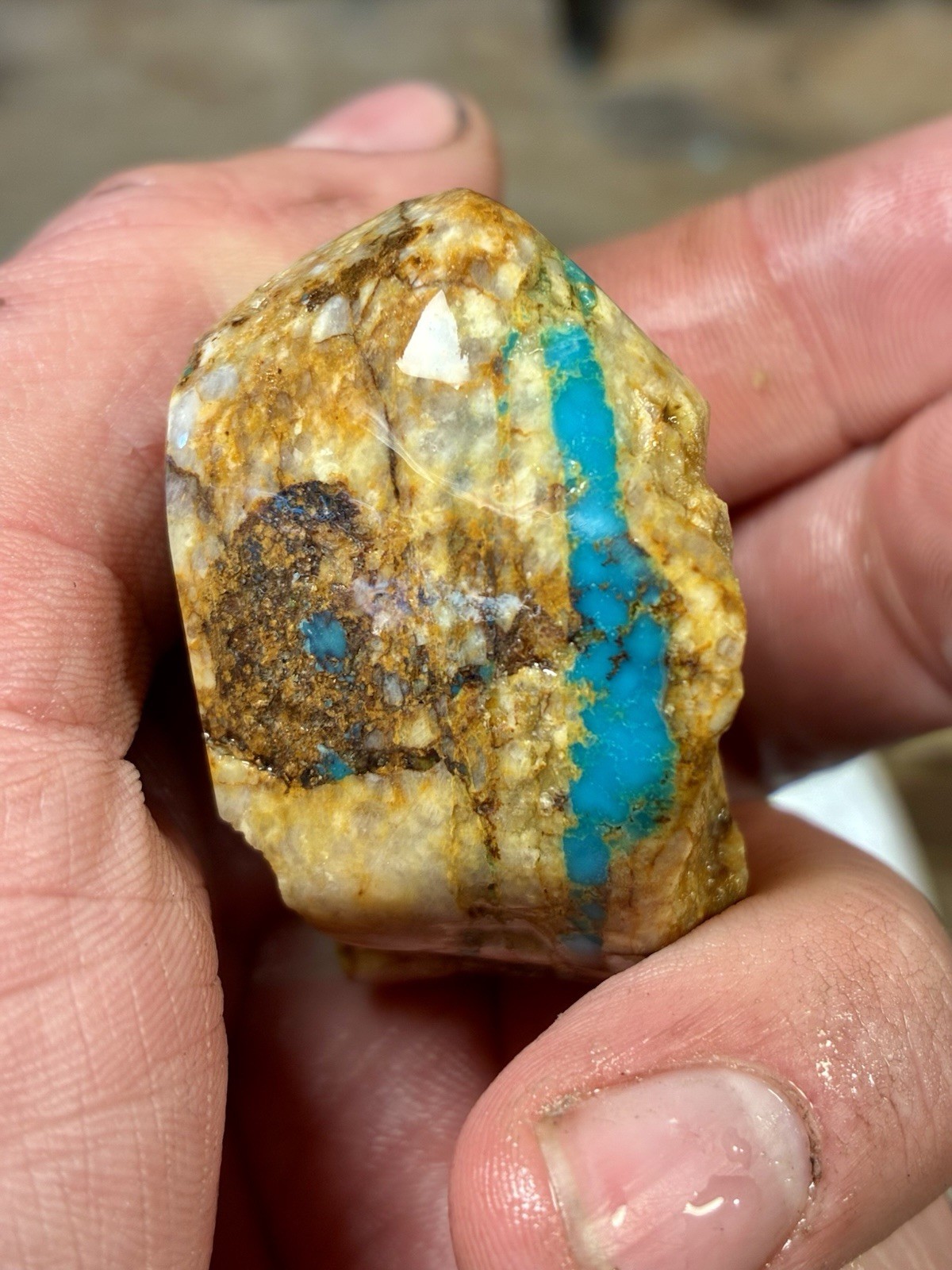 1 Lb of Skinny Turquoise Mountain Nugs! Now Available Again! ￼