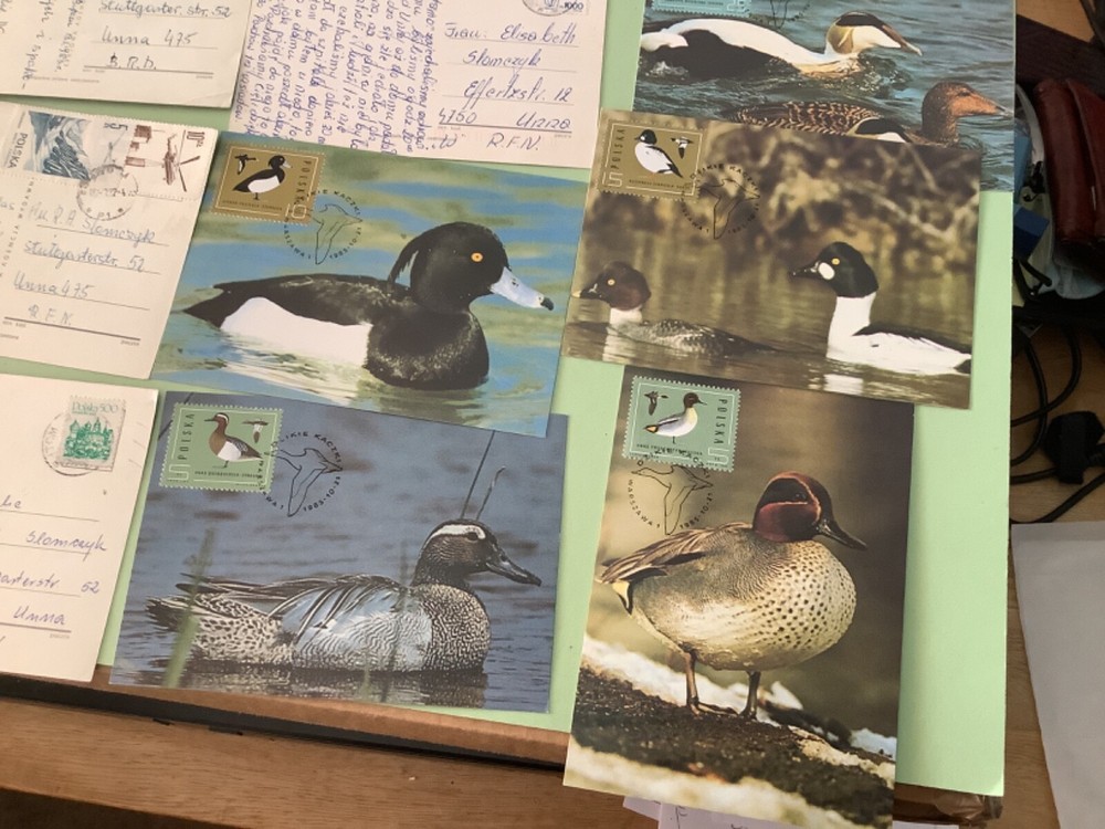 Poland postcards 16 postal items Ref A2238