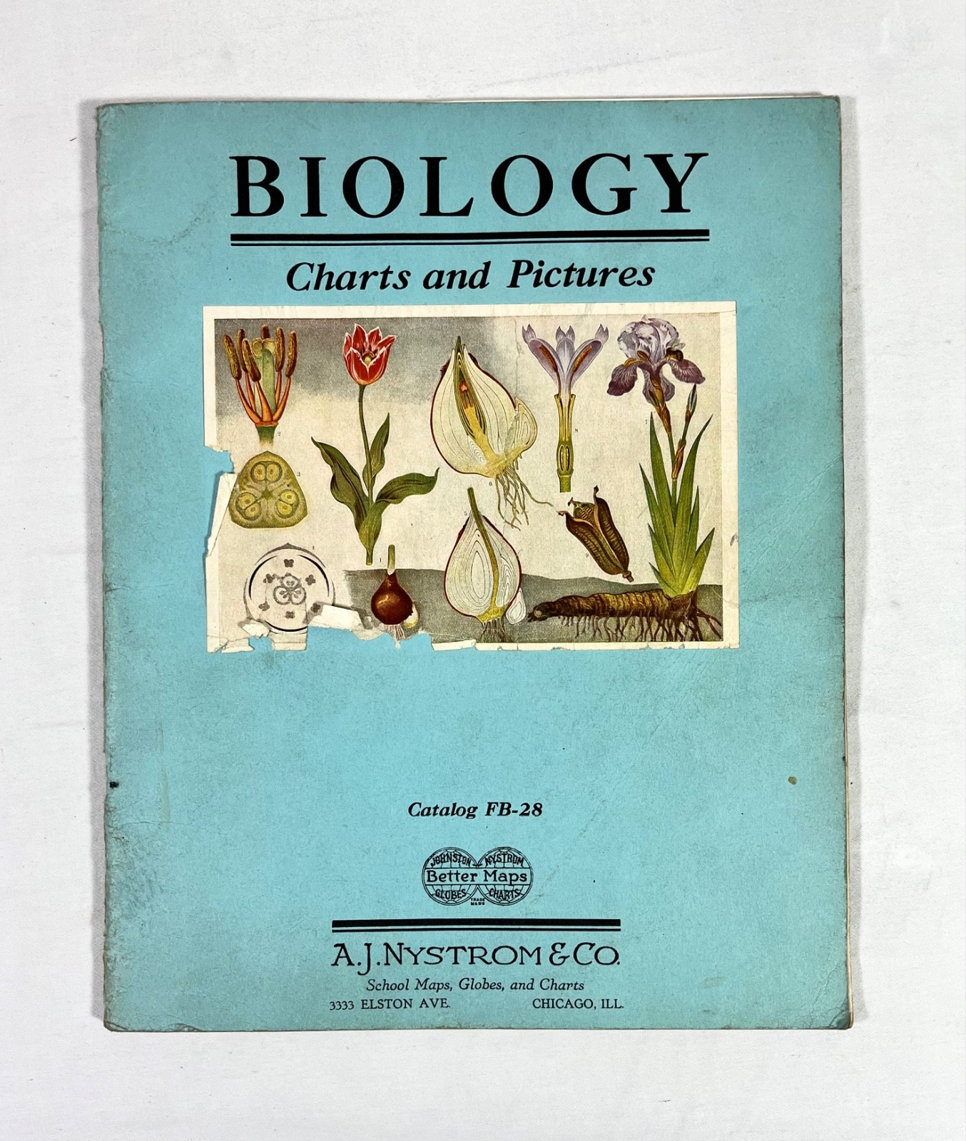 Rare 1928 A.J Nystrom Sales Catalog FB-28 Europe Charts Biology Medical Anatomy