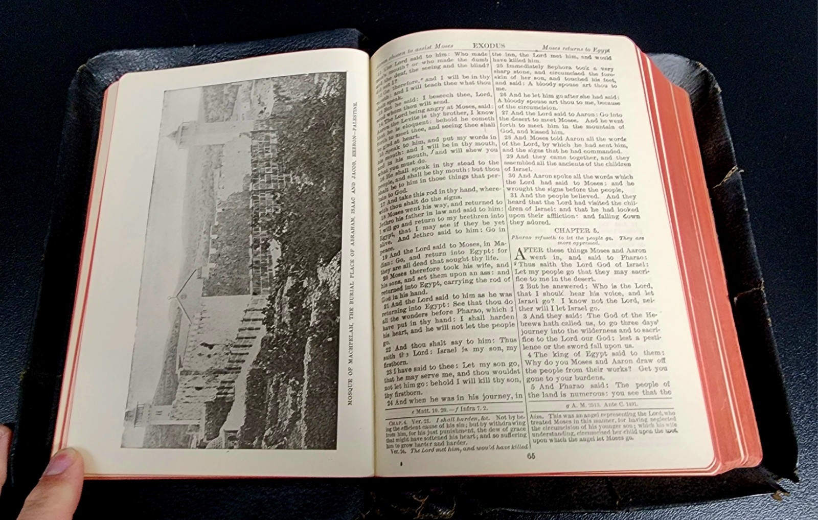 1914 Douay Rheims Holy Bible Catholic John Murphy Baltimore NY Maps Illus