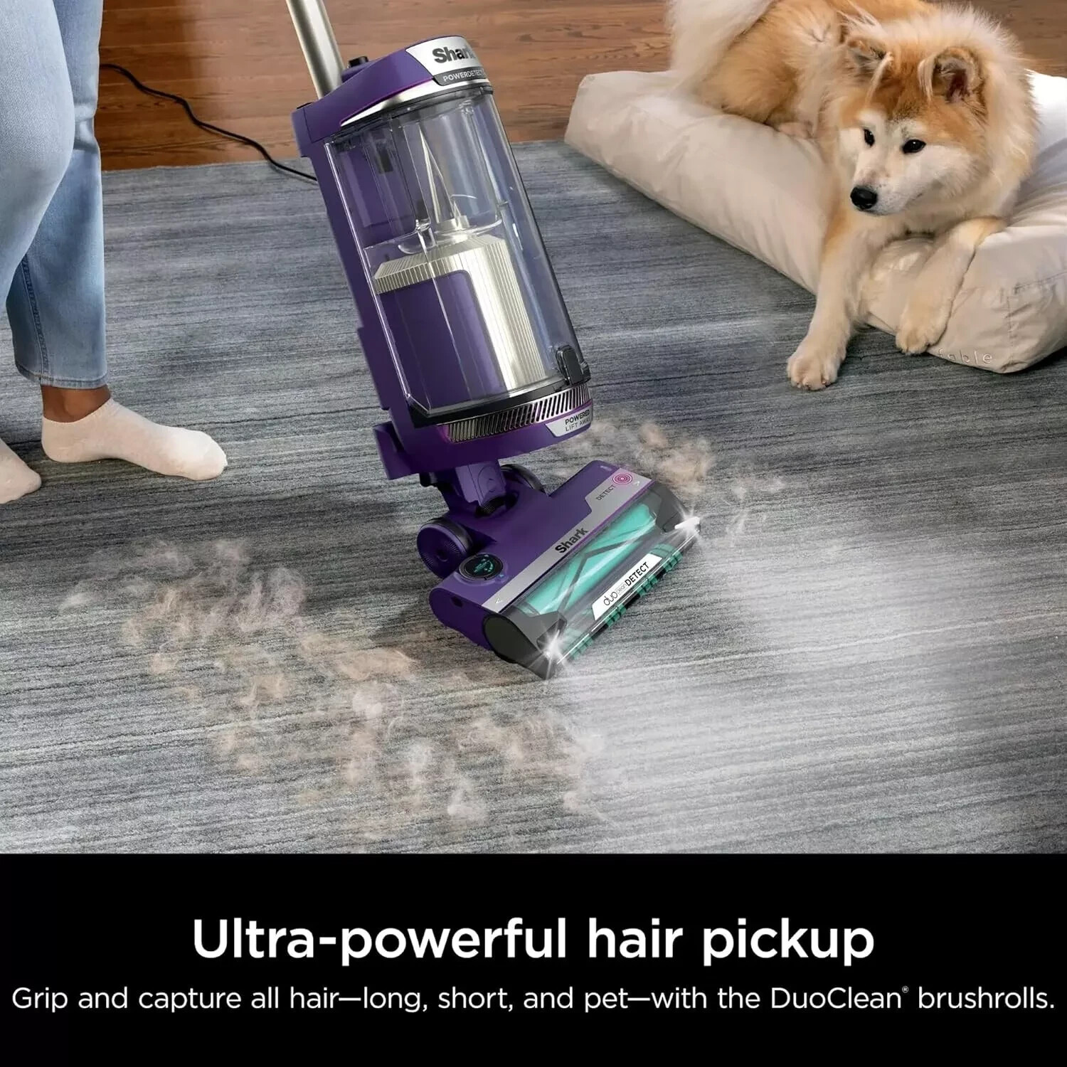 Shark POWERDETECT Upright Vacuum Self Cleaning Brushroll Duoclean Odor Powerful
