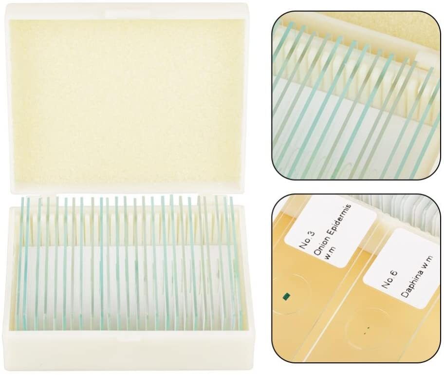 25PCS Microscope Slides Prepared Glass f Student Education Biological Microscope