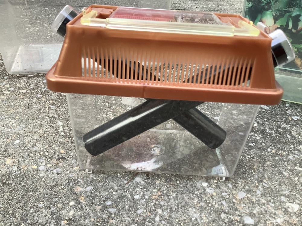 Small Animal/ Insect/ Bug & Reptile Containers