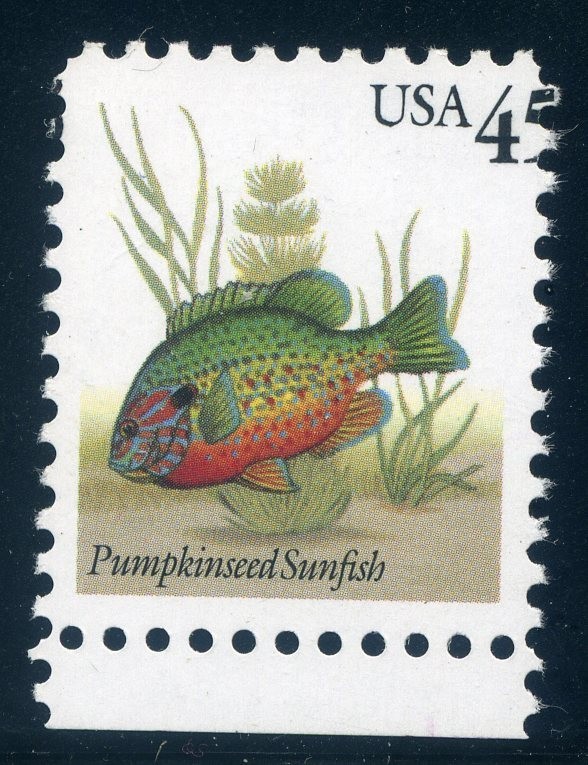 2481, 45¢ Pumpkinseed Sunfish, Black Denomination Shift, Cutting Off 5 , Mint NH