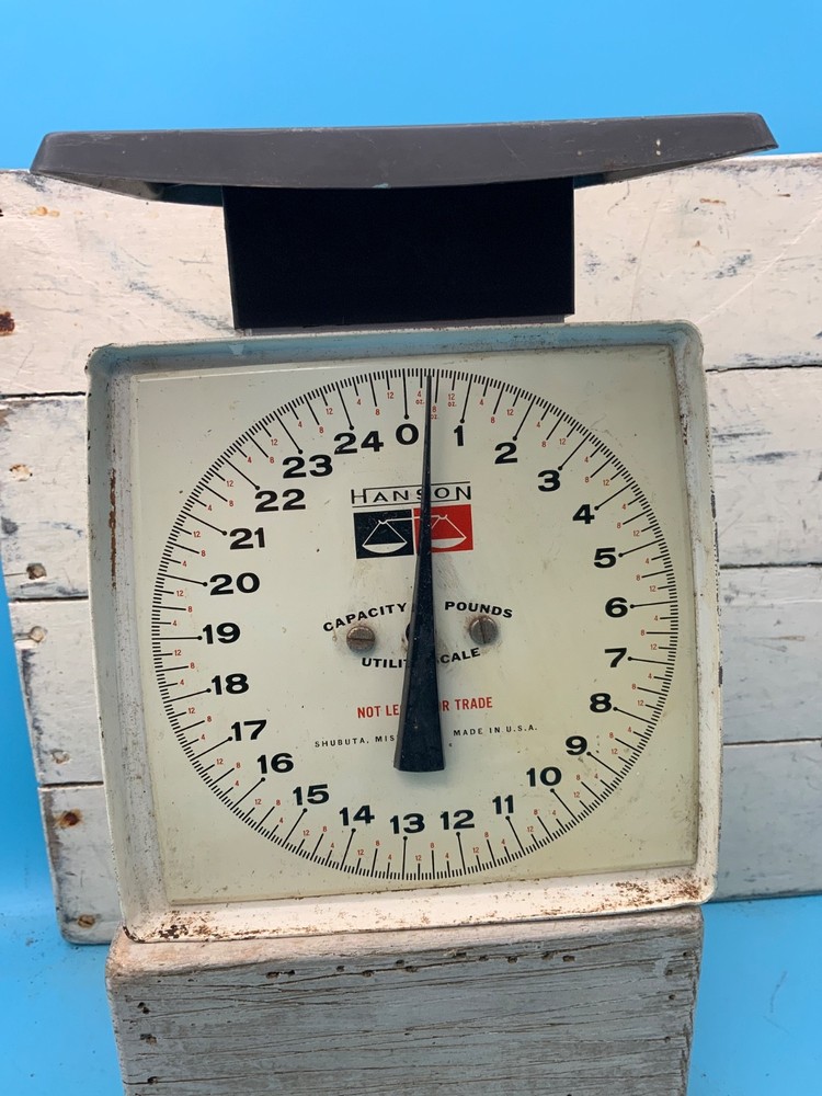 Vintage Hanson Utility/Kitchen Scale, 25 lbs.
