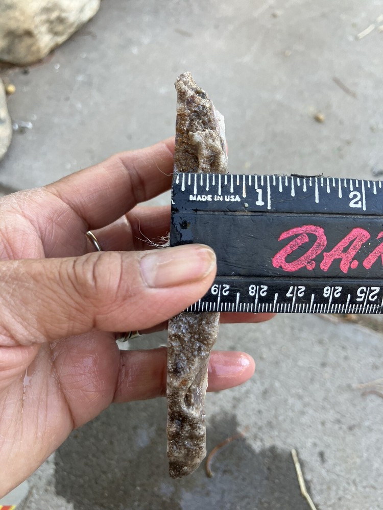 Lace Amethyst - End Cut