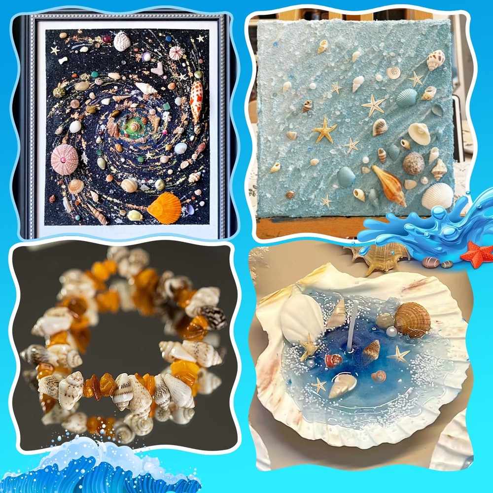 2000 PCS Tiny Sea Shells Mini Shells for Crafting & 20 Small Starfish for Fis...