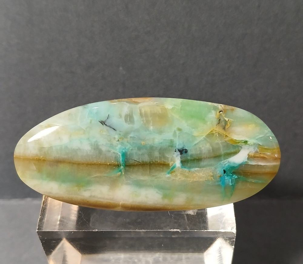 Indonesian Opalized Wood Cabochon
