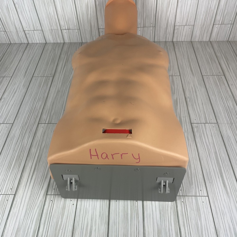 Ambu training CPR Multiman manikin With Hygienic System-HARRY