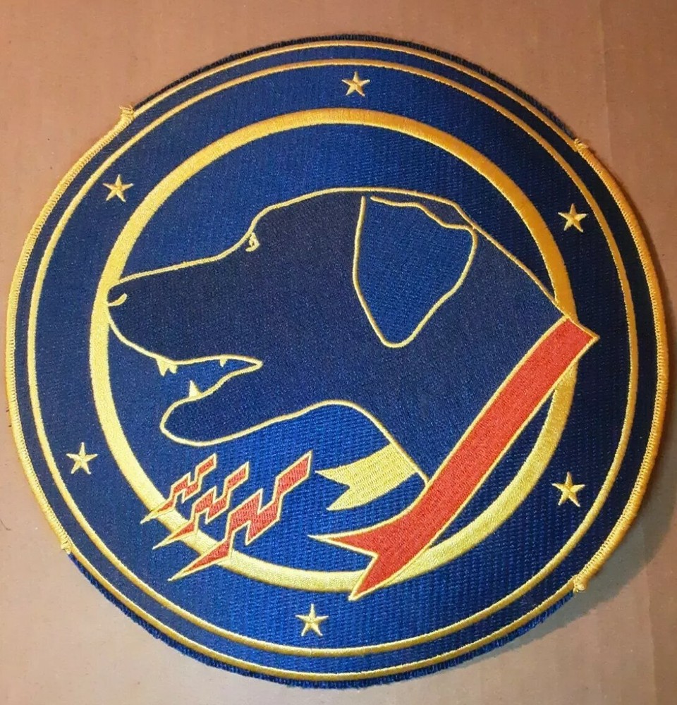 Tactical Fighter Squadron Wardog 9" Patch Without Add Ons READ