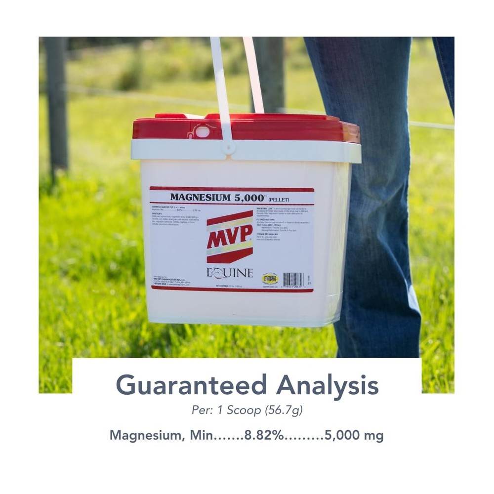 Magnesium 5000 for Horses - Calm, Boost Metabolism, Support Muscle Function