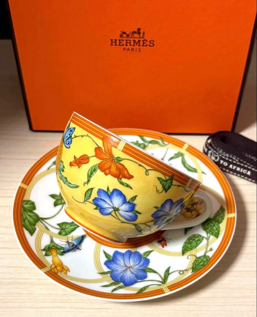 Hermes Siesta Teacup & Saucer Brand New Unused with Original Box Included