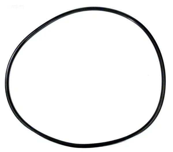 O-Ring, lid