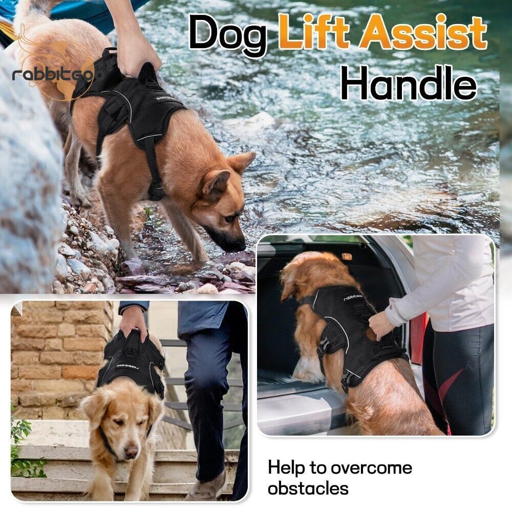 rabbitgoo Escape Proof Dog Harness Full Body Reflective Adjustable No Pull Vest