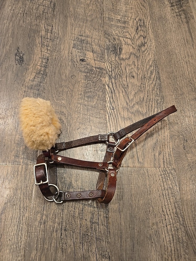 Horse Halter Weanling Size