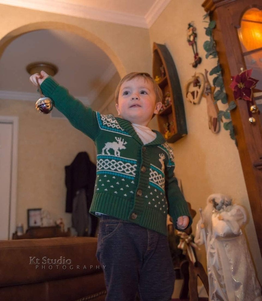 The Polar Express Sleigh Bell