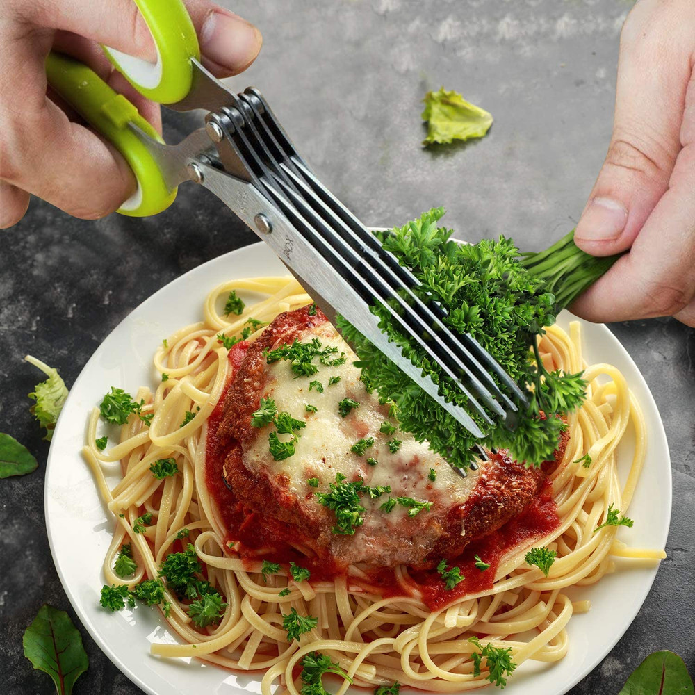 Herb Scissors, Multipurpose 5 Blade Kitchen Herb Shears Herb Cutter with Safety