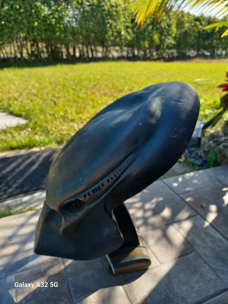 A man from another planet. Here to kill everybody. Predator