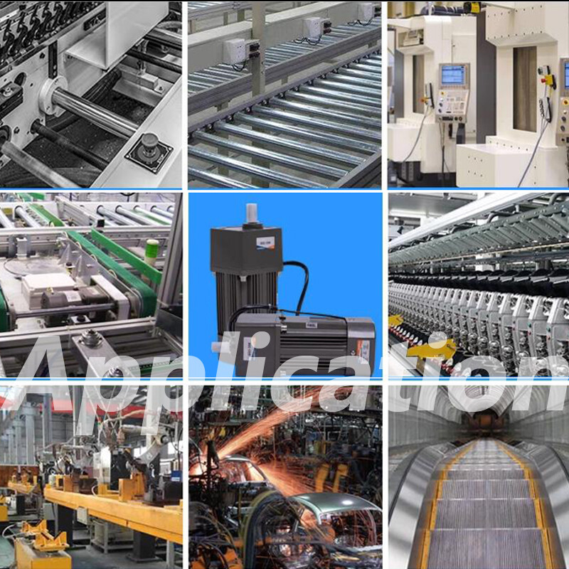 AC Motor Optical Axis 25W Deceleration Geared 110V 220V With Speed Controller