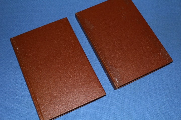 Cyclopedia US Postmarks Postal History Volumes 1-2  BlueLakeStamps Useful