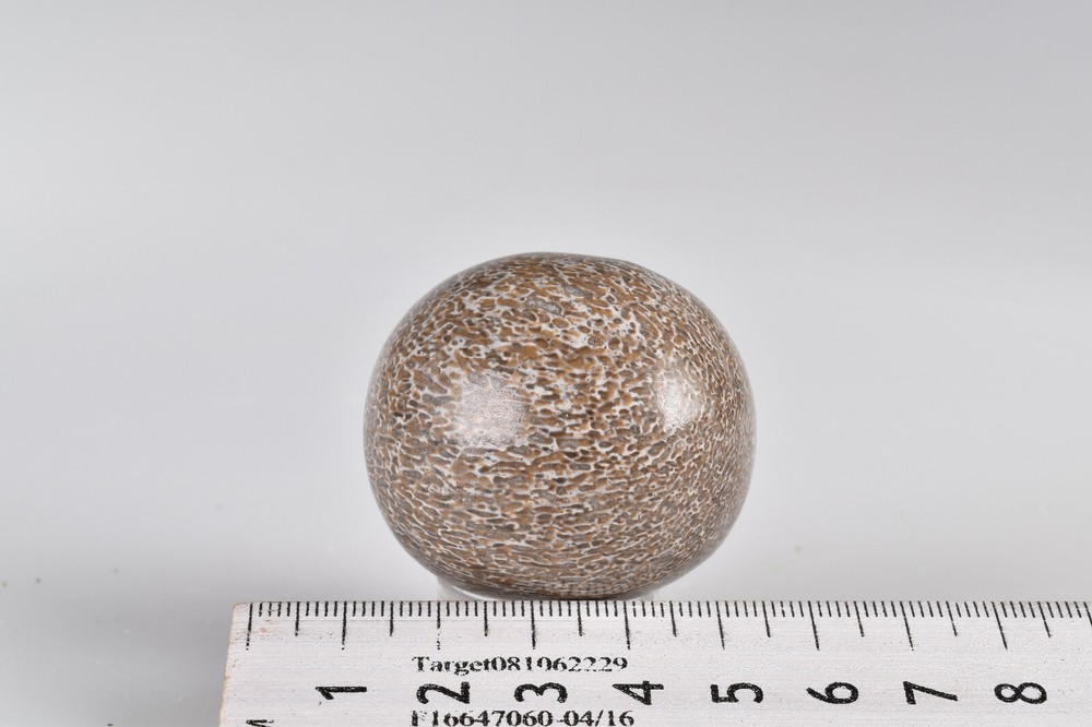 Dinosaur Bone Sphere from Morocco 4.3 cm # 21232