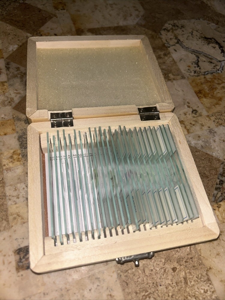 AmScope PS25W Prepared Slides