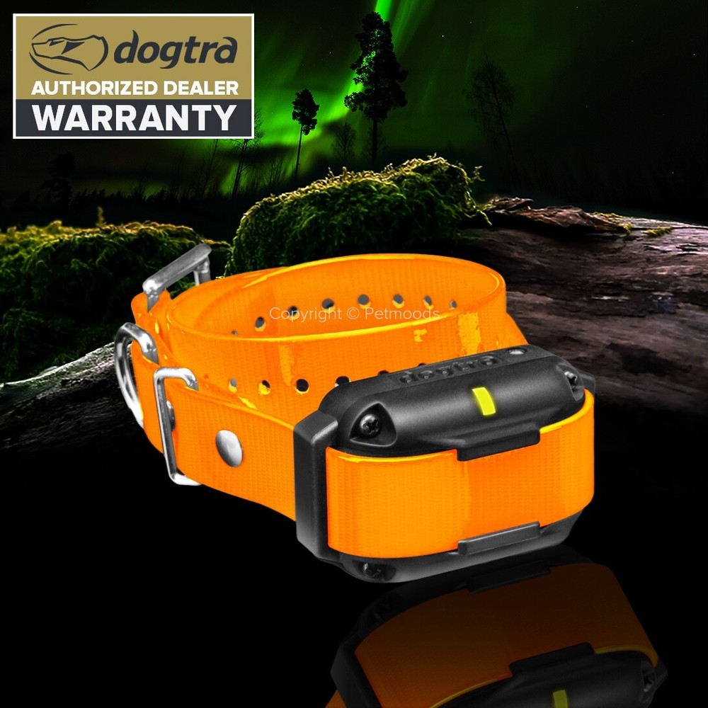 Dogtra Edge RT Dog Collar Receiver Orange Strap