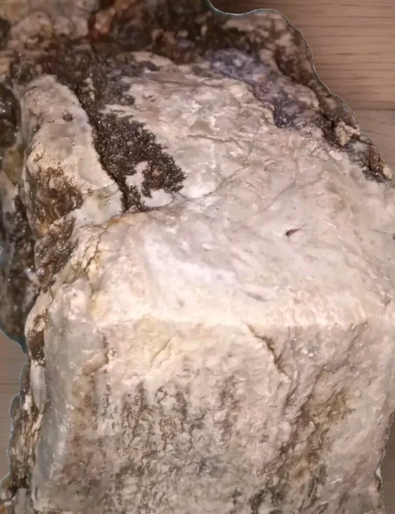 Petrified Wood Opalized Rough AZ 2 lbs 8 oz