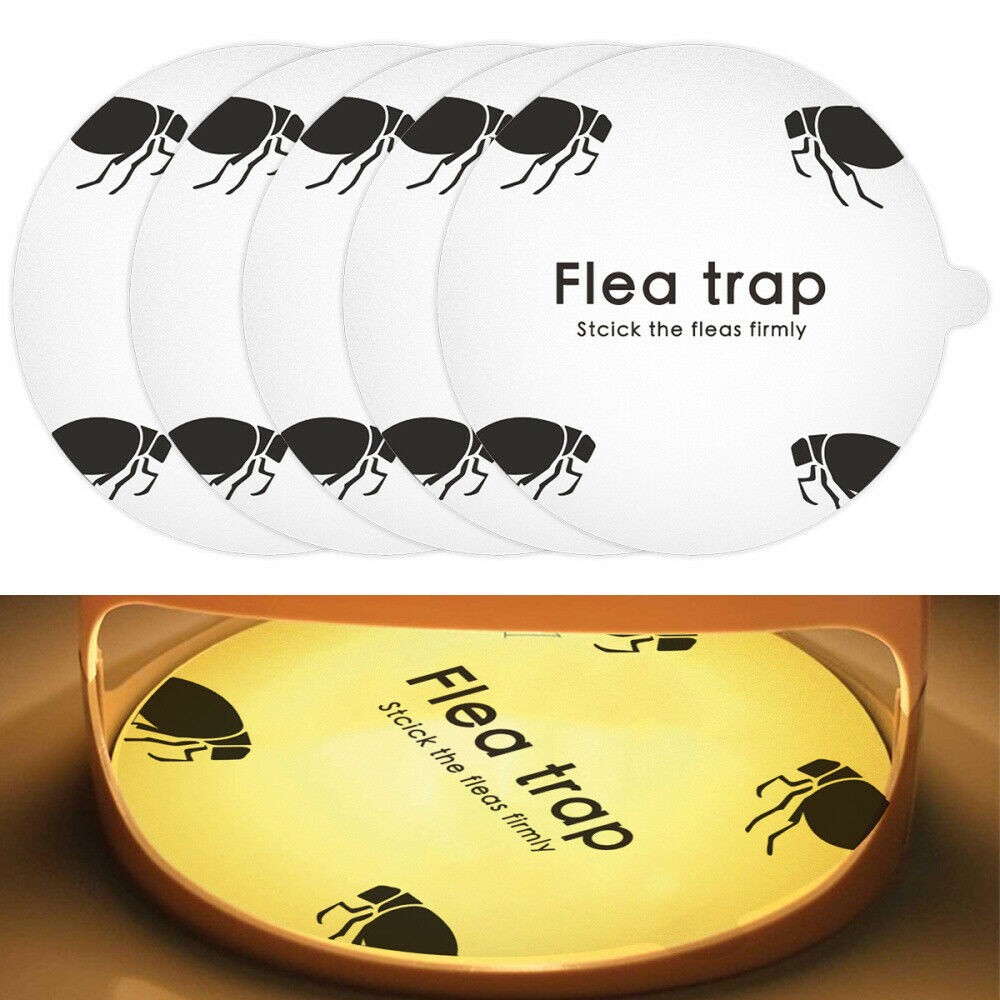 5 Pack Disposable Flea Trap Sticker Sticky Dome Flea Trap Refill Flea Glue Discs