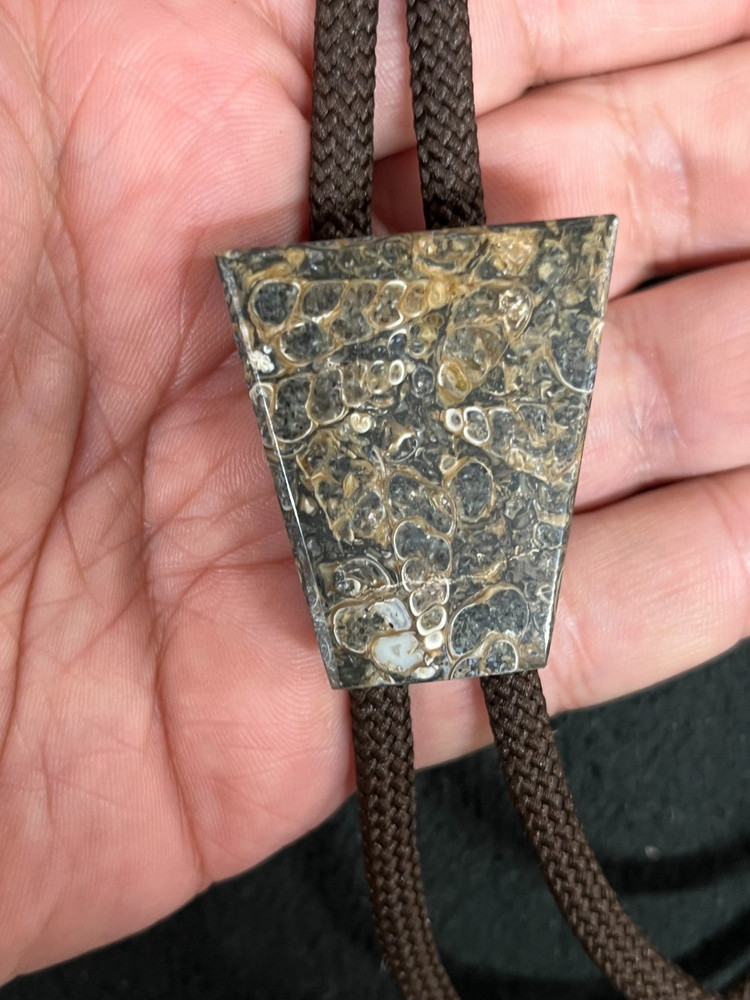 Turritella Agate Western Bolo Tie