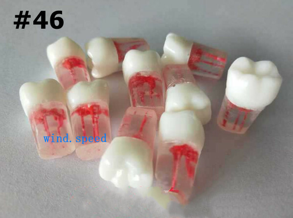 #46 Dental Root Canal Teeth Study Practice Training Model clear Equipmenent 10pc