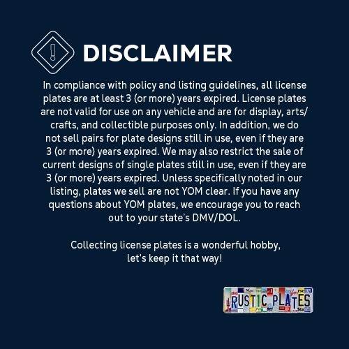 1934 Texas License Plate