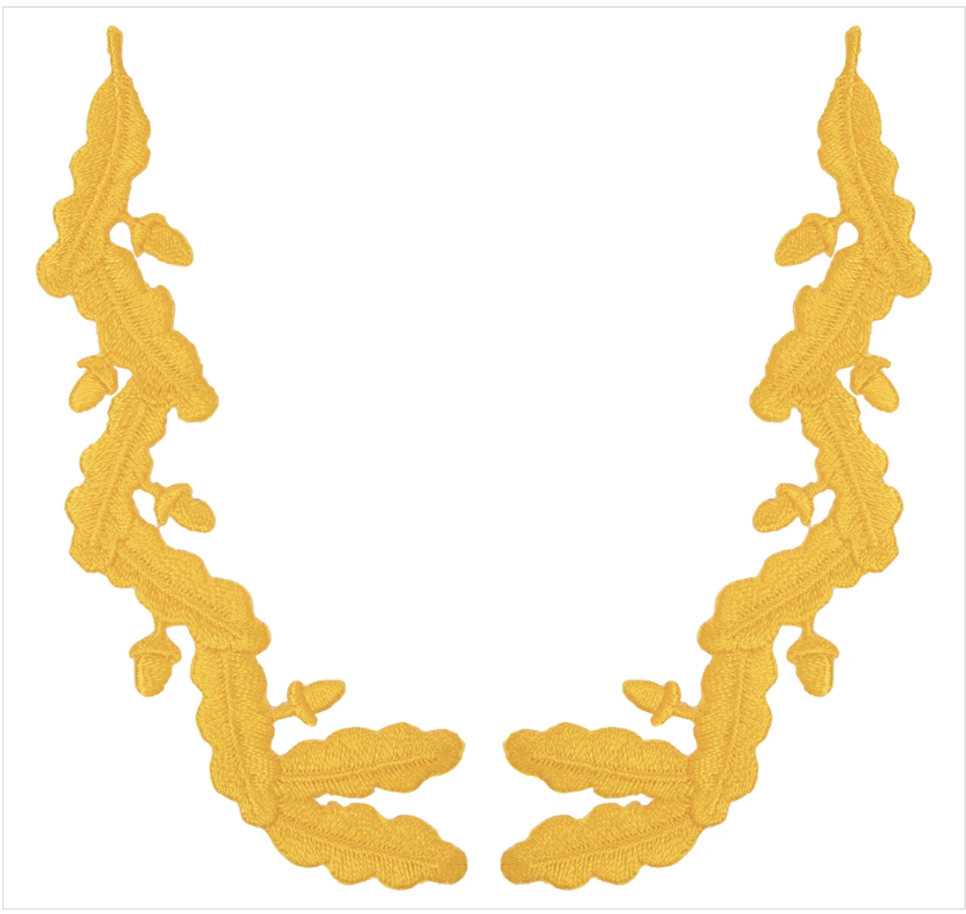 GENUINE U.S. NAVY SCRAMBLED EGGS: FROM CAPTAIN TO COMMANDER RANKS