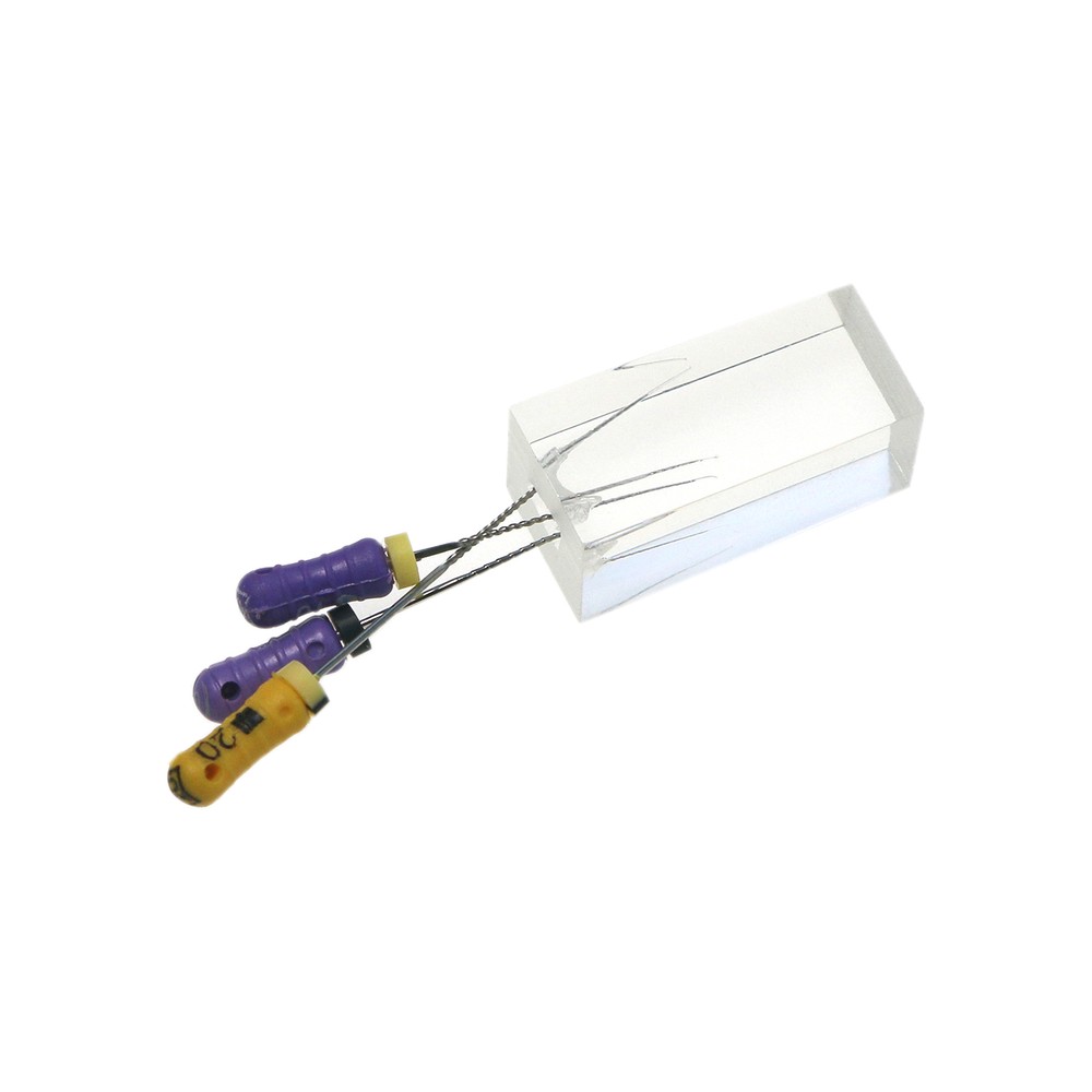 10PCS Dental Endodontic Root Canals Practice Model Endo Training Block Clear