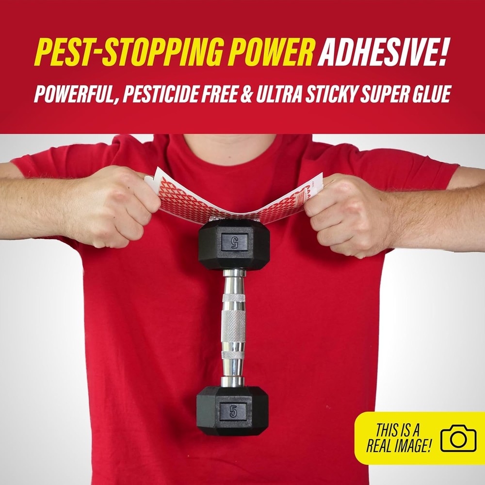 Catchmaster Pro Series Multi-Catch Mouse Trap with Replaceable Glue Board